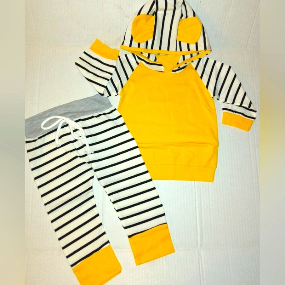 NWT☆Super Cute☆Girls Long Sleeve Hoodie/Pants Set~Boutique Set~6-12mo..